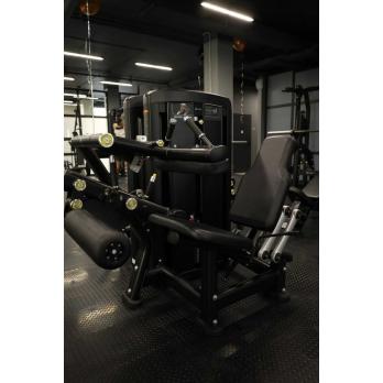 Сгибание/разгибание ног Insight Fitness BH33