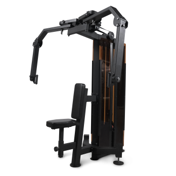 Баттерфляй/Задние дельты профессиональный BRONZE GYM PARTNER ML-810