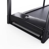 Беговая дорожка для реабилитации DFC CYNOS T175