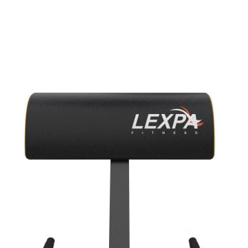 Тренажер для приседаний/гиперэкстензия DFC LEXPA D282