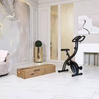 Велотренажер X-Bike DFC LONTEC