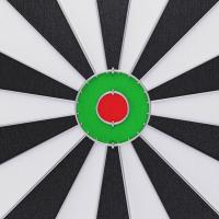 Дартс DFC двусторонний 43 см, 6 дротиков