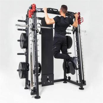 Мультистанция, машина Смита DFC Gorilla Sport 822