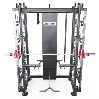 Мультистанция, машина Смита DFC Gorilla Sport 822
