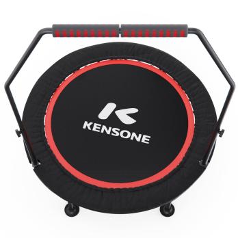 Батут для фитнеса DFC KENSONE 40" BSD-40-Black с поручнем