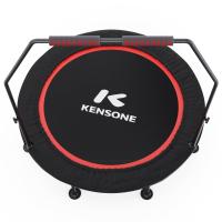 Батут для фитнеса DFC KENSONE 48" BSD-48-Black с поручнем
