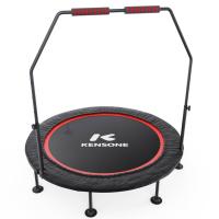 Батут для фитнеса DFC KENSONE 48" BSD-48-Black с поручнем
