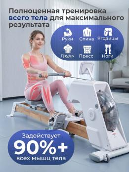 Гребной тренажер DFC YESOUL SQ-RM2002YL, водный