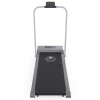 Беговая дорожка с поручнем DFC NEW LIFE TM-200z, 98 х 39,5 см