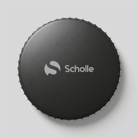 Батут каркасный 240см (8фут), SCHOLLE, с защитной сеткой и лестницей, зеленый/оранжевый