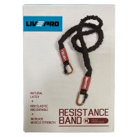 Эспандер с карабином LivePro LP8401 H