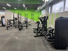 Скамья для жима олимпийская Gymmaster DH23