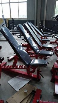 Скамья универсальная Insight Fitness TM87