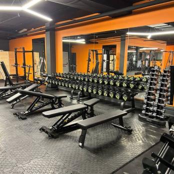 Скамья универсальная Insight Fitness TM87