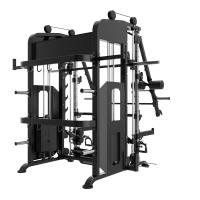 Многофункциональный тренажер с машиной Смита Insight Fitness TS114
