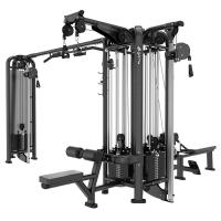 Мультистанция 5-ти позиционная Insight Fitness BH60