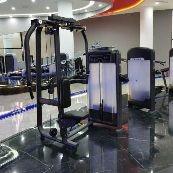 Пэк-дэк Insight Fitness TF04