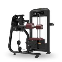 Дельт-машина Insight Fitness TF07