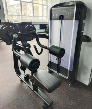Дельт-машина Insight Fitness TF07