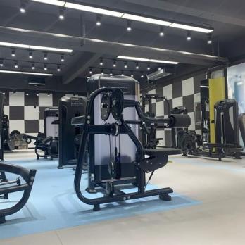 Дельт-машина Insight Fitness TF07