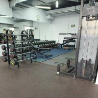 Гравитрон Insight Fitness HS11