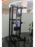 Гравитрон Insight Fitness HS11