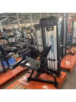 Сгибание/разгибание ног Insight Fitness HS31