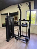 Гравитрон Insight Fitness TY24