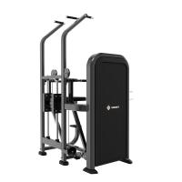 Гравитрон Insight Fitness TY24