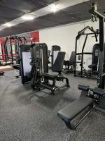 Сгибание/разгибание ног Insight Fitness TY25