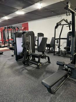 Сгибание/разгибание ног Insight Fitness TY25