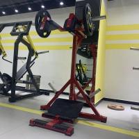 Голень стоя Insight Fitness TM80