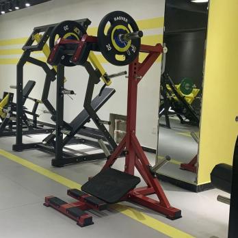 Голень стоя Insight Fitness TM80