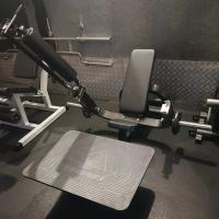 Ягодичный мостик Insight Fitness TM118