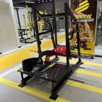 Приседания с поясом Insight Fitness DZ53