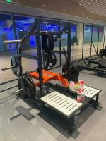 Приседания с поясом Insight Fitness DZ53