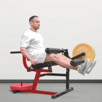 Сгибание разгибание ног сидя Gymmaster EKF5A