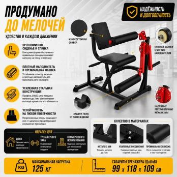 Сгибание разгибание ног сидя Gymmaster EKF5A