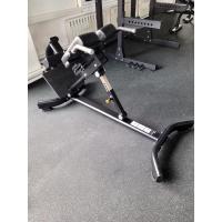 Гиперэкстензия наклонная Insight Fitness TN89