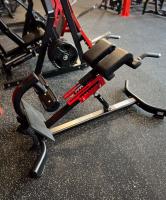 Гиперэкстензия наклонная Insight Fitness TN89