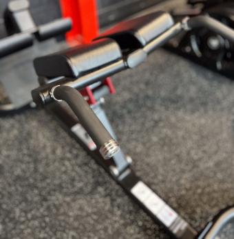 Гиперэкстензия наклонная Insight Fitness TN89