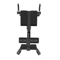 Гиперэкстензия наклонная Insight Fitness TM89
