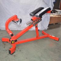 Гиперэкстензия наклонная Insight Fitness TM89