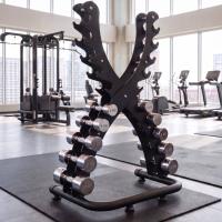 Стойка для хромированных гантелей UNIX Fit DumRack 10 PRO черный