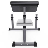 Скамья Скотта DFC Homegym AY001
